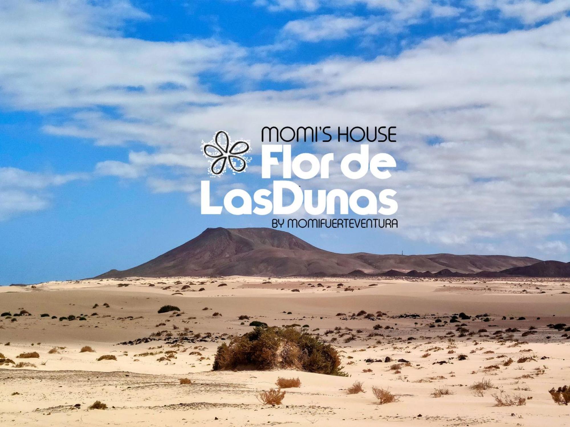 Flor De Las Dunas Pools Wifi Tennis Bikes For Free 코라레호 외부 사진